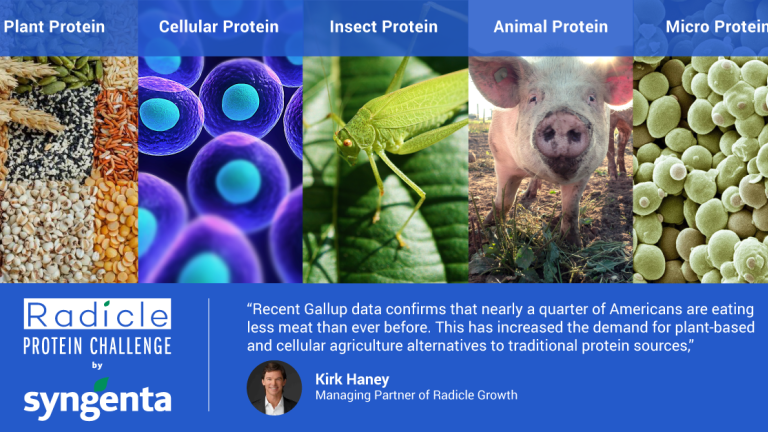 Radicle protein challenge by Syngenta