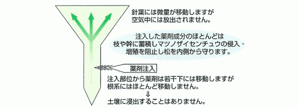 ショットワン・ツー®液剤の注入方法