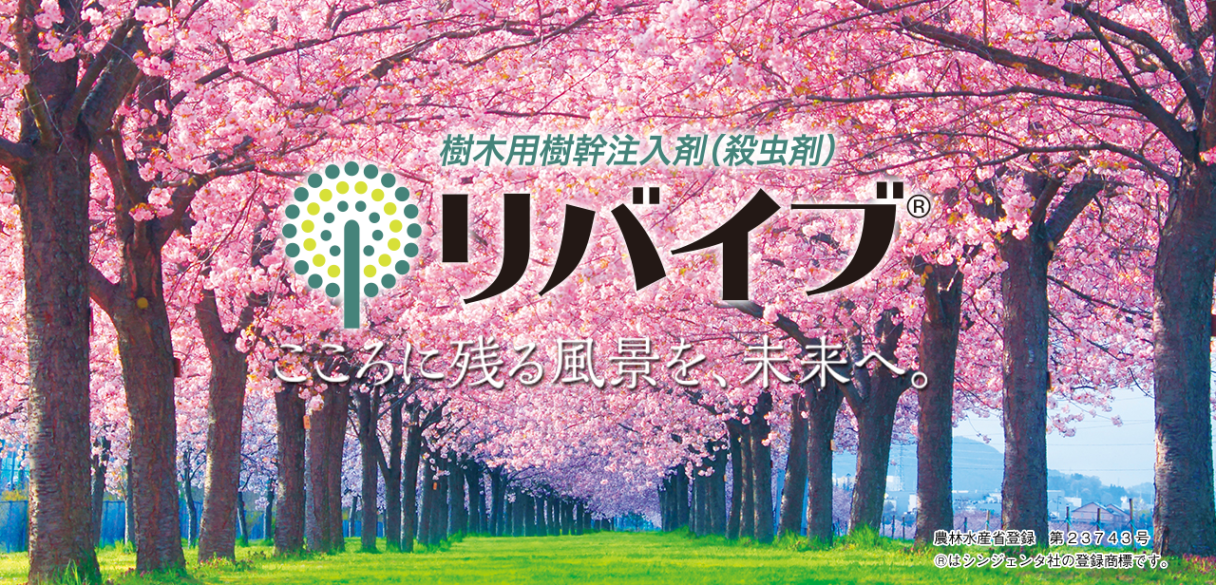 樹木用樹幹注入剤（殺虫剤）リバイブ