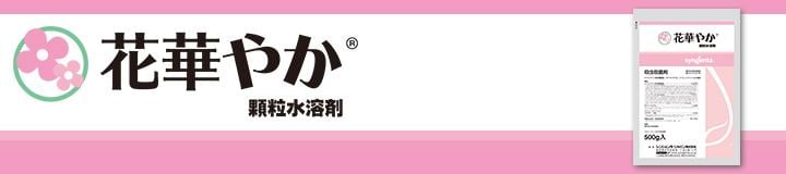 花華やか顆粒水溶剤